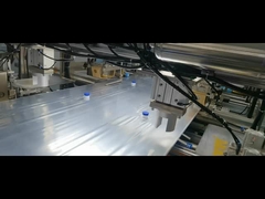 5L-200L Bag in scatola con doppio tappo