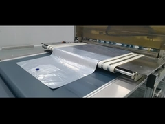 5L-200L Bag in scatola con doppio tappo