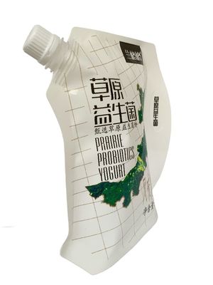 Tasca di detersivo liquido a piedi stampata Easy Pour Bag Capacità personalizzata