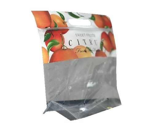 Imballaggio alimentare personalizzato Sacchetto a cerniera stand up per frutta con foro a foratura