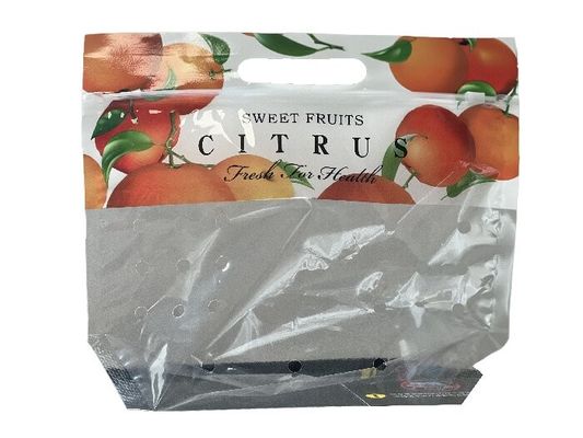 Imballaggio alimentare personalizzato Sacchetto a cerniera stand up per frutta con foro a foratura